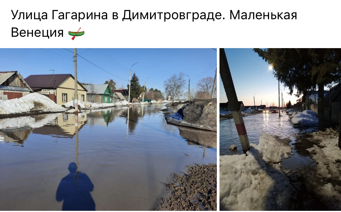 Венеция димитровград фото