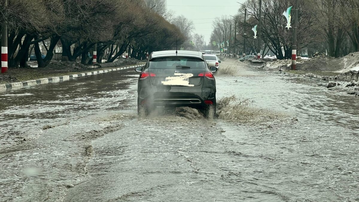 Димитровград тонет: жители города вскоре пересядут на гондолы | Новости  Ульяновска. Смотреть онлайн