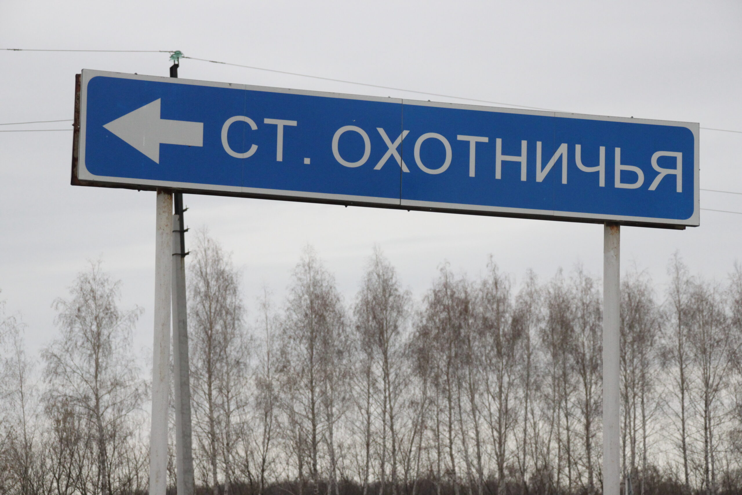 Тохота село. Охота на кабана в краснодарском крае. Погода охотничье ульяновская. Погода тохота. Паньшино ульяновская область.