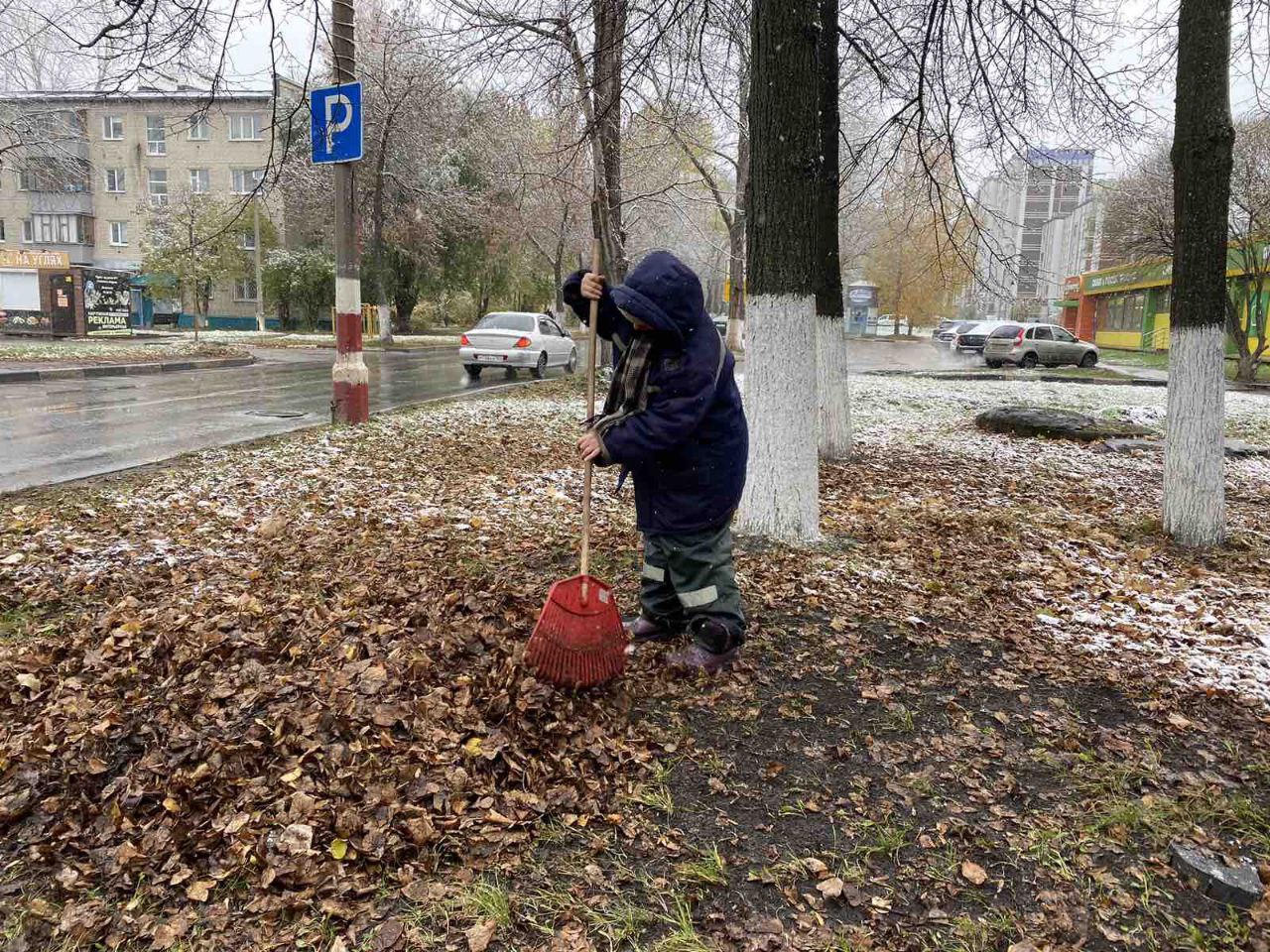 Сажают деревья, убирают листву. В Ульяновске проходит городской субботник |  Новости Ульяновска. Смотреть онлайн