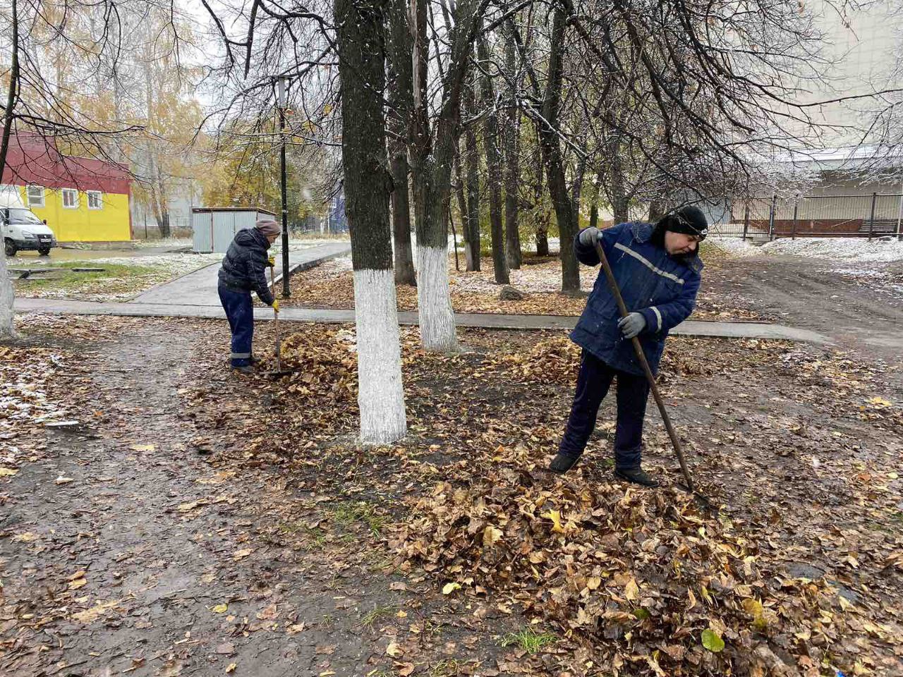 Сажают деревья, убирают листву. В Ульяновске проходит городской субботник |  Новости Ульяновска. Смотреть онлайн