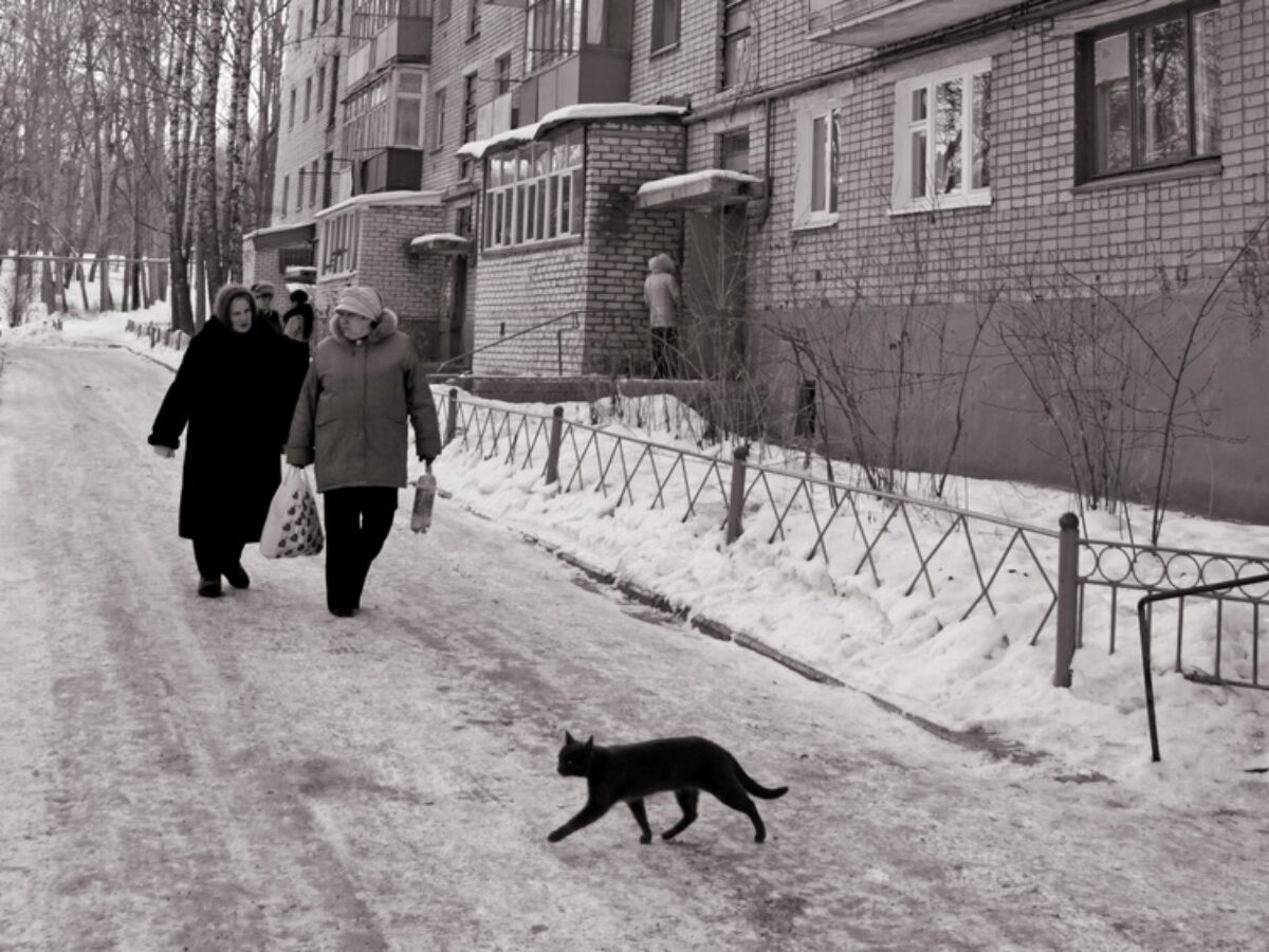 В какие суеверия верят ульяновцы | Новости Ульяновска. Смотреть онлайн