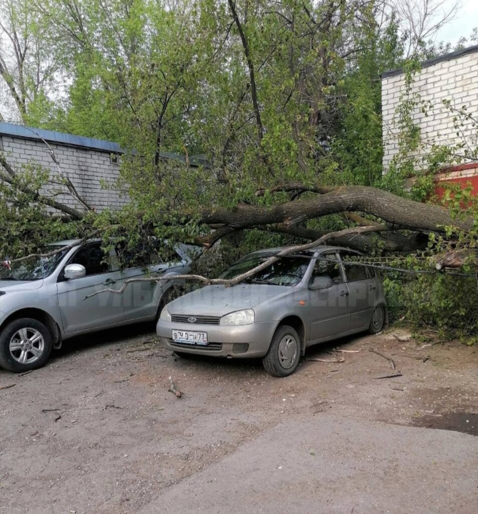 В Киндяковке дерево придавило два авто | Новости Ульяновска. Смотреть онлайн