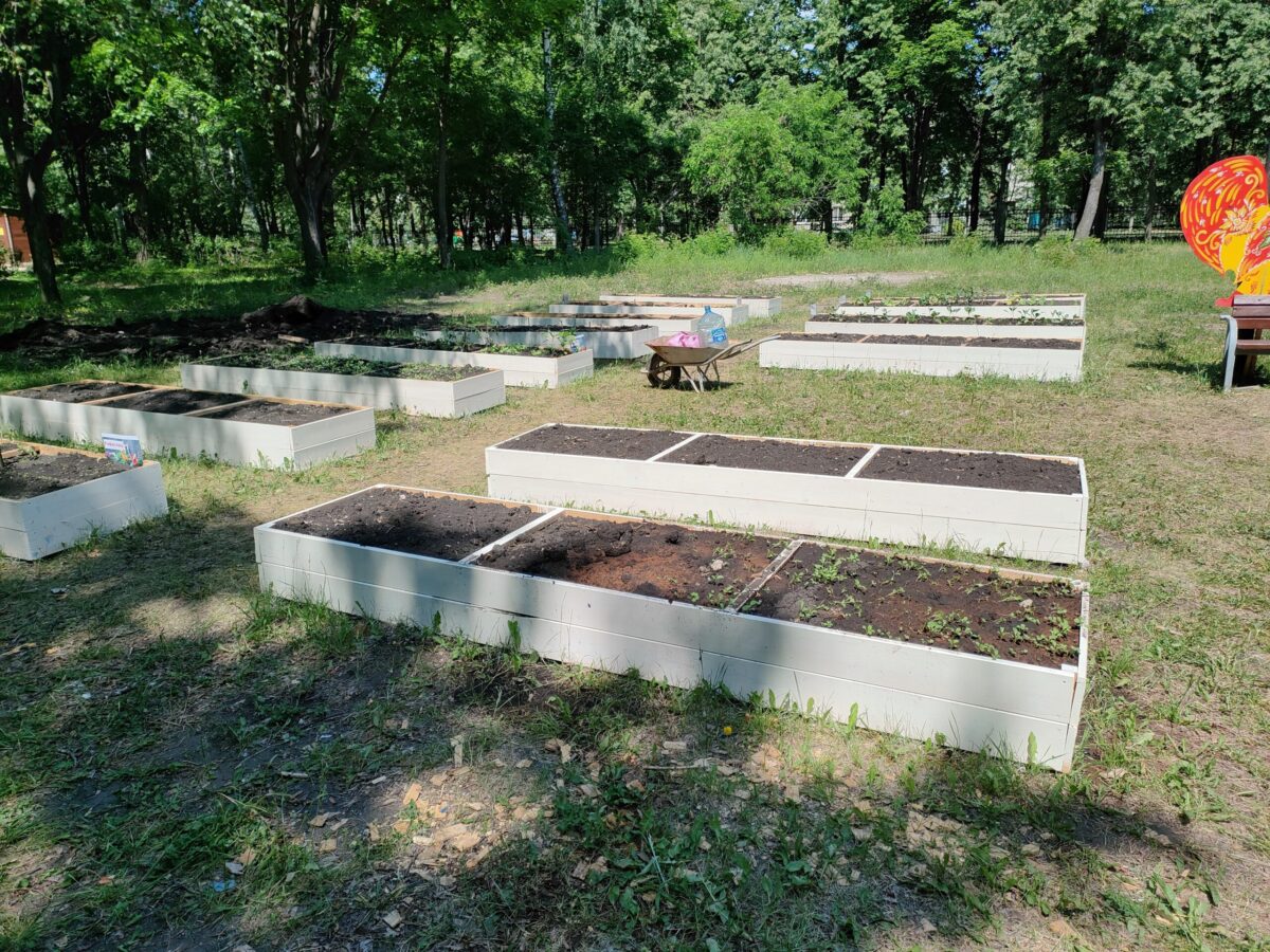 В Ульяновске появилось «кладбище семейных огородов» | Новости Ульяновска.  Смотреть онлайн