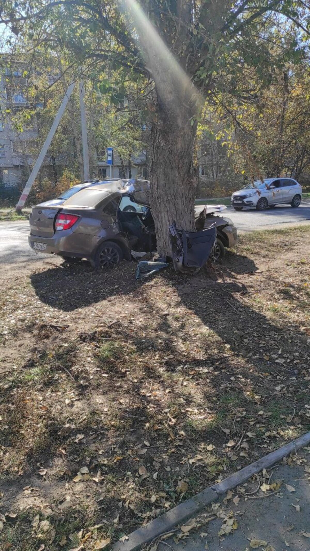 В Димитровграде в смертельном ДТП погибло двое | Новости Ульяновска.  Смотреть онлайн