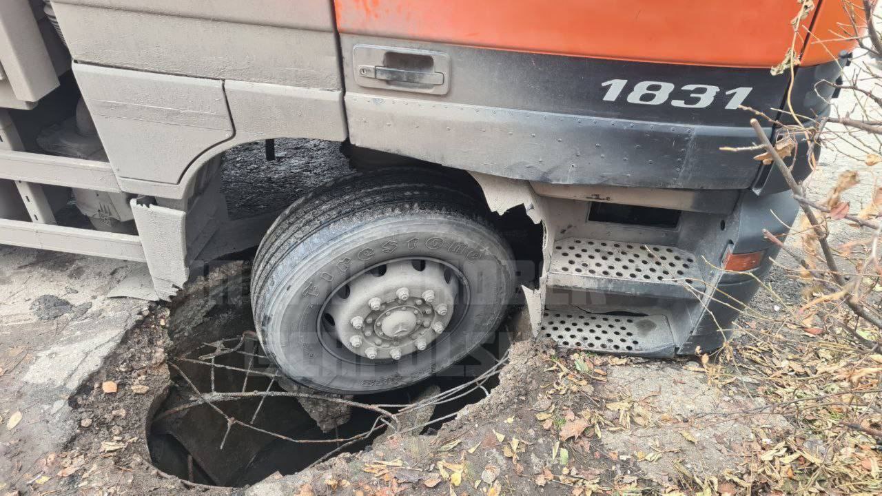 В городах бегают лисы, маршрутчики устраивают разборки: Главные события  минувших выходных | Новости Ульяновска. Смотреть онлайн