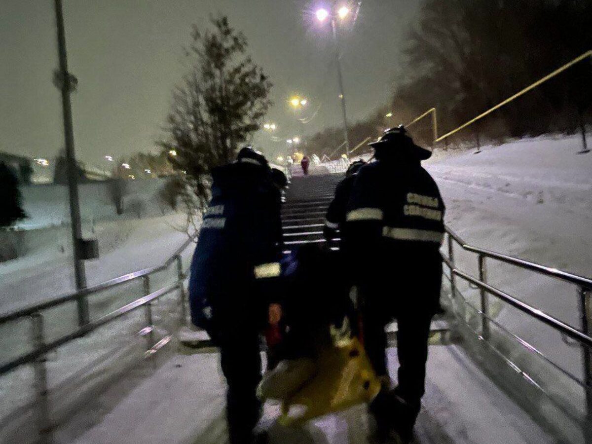 В Ульяновске девушка, катаясь на «ватрушке», врезалась в дерево и сломала  ребра | Новости Ульяновска. Смотреть онлайн