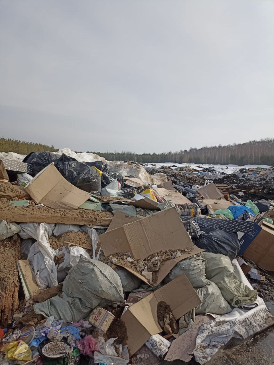 В Новоспасском районе образовалась незаконная свалка | Новости Ульяновска.  Смотреть онлайн