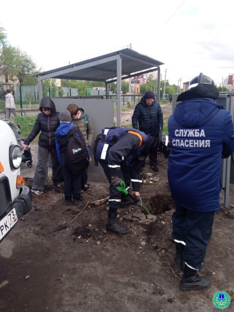 Спасатели спасли ежа на улице Ефремова | Новости Ульяновска. Смотреть онлайн